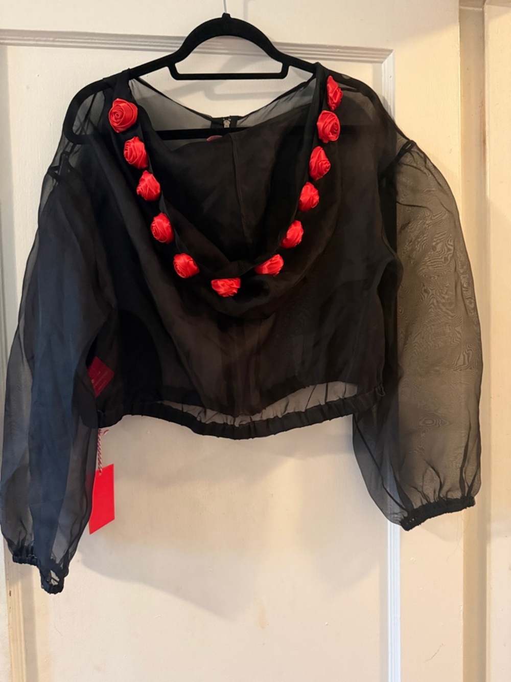 Black Sheer Silk Cropped zipper Blouse with vivid Red Rosette-Trimmed Hood